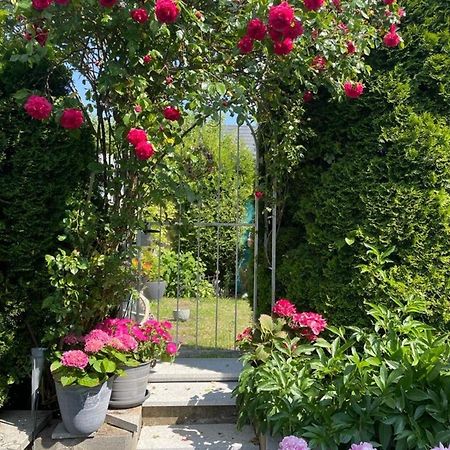 Zum Sternberg Apartment Münsingen Екстериор снимка